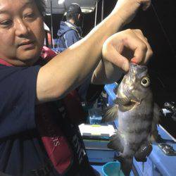 ヤザワ渡船 釣果