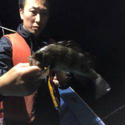 ヤザワ渡船 釣果