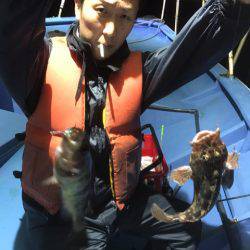 ヤザワ渡船 釣果