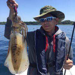 「LaGooN」蒼陽丸 日和号 釣果