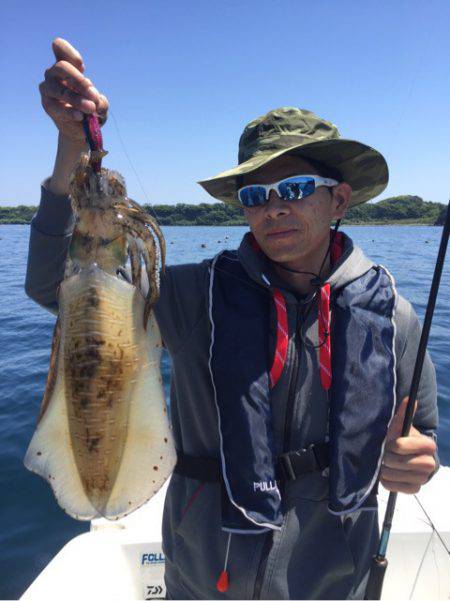 「LaGooN」蒼陽丸 日和号 釣果