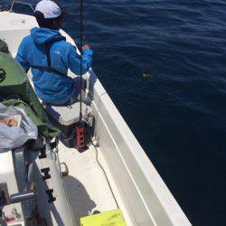 「LaGooN」蒼陽丸 日和号 釣果