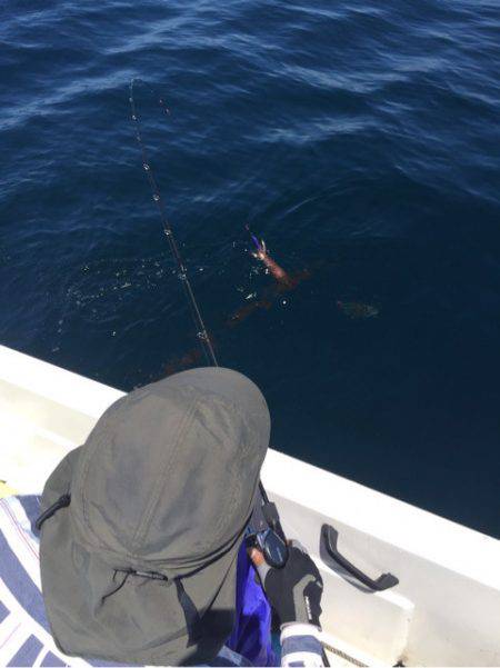 「LaGooN」蒼陽丸 日和号 釣果