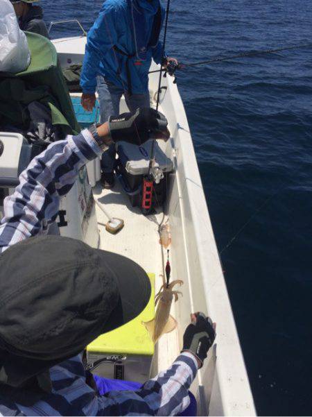 「LaGooN」蒼陽丸 日和号 釣果