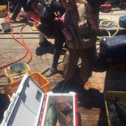 釣り堀水宝 釣果