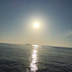 末広丸(熊本) 釣果