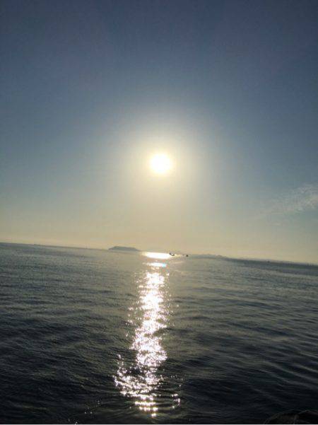 末広丸(熊本) 釣果