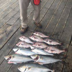 釣り堀水宝 釣果