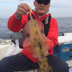 「LaGooN」蒼陽丸 日和号 釣果