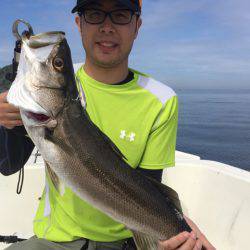 「LaGooN」蒼陽丸 日和号　 釣果