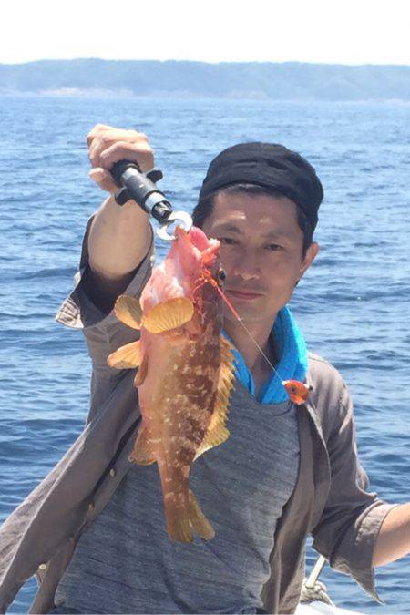 「LaGooN」蒼陽丸 日和号 釣果