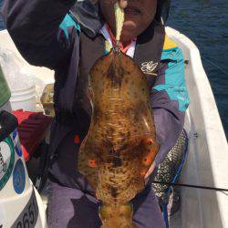 「LaGooN」蒼陽丸 日和号 釣果
