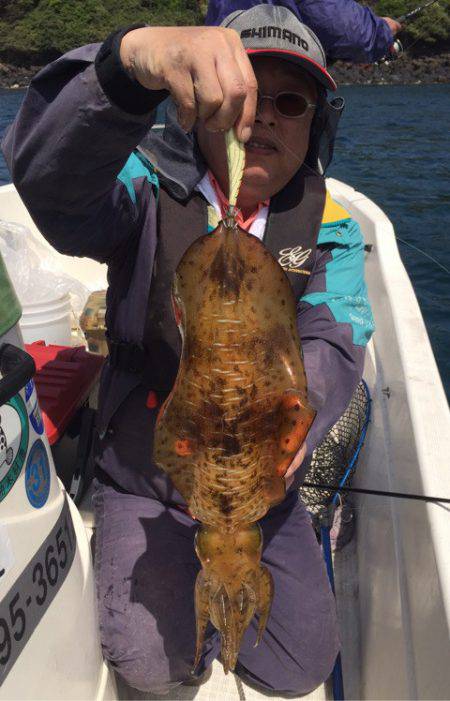 「LaGooN」蒼陽丸 日和号 釣果