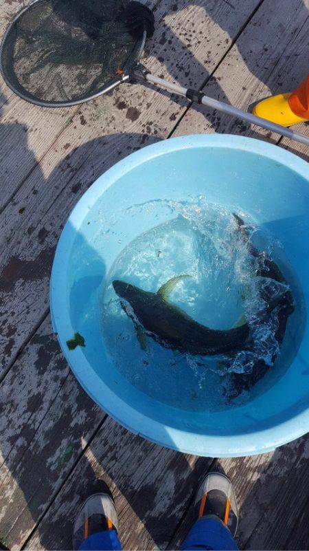 釣り堀水宝 釣果