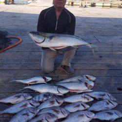 釣り堀水宝 釣果