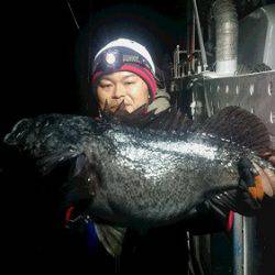 小樽港遊漁船ＳＨＡＫＥ 釣果