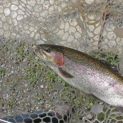 平谷湖フィッシングスポット 釣果