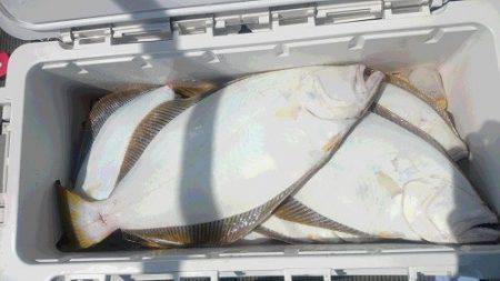 小樽港遊漁船SHAKE 釣果