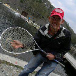 平谷湖フィッシングスポット 釣果