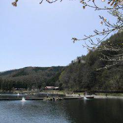 平谷湖フィッシングスポット 釣果