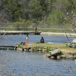 平谷湖フィッシングスポット 釣果
