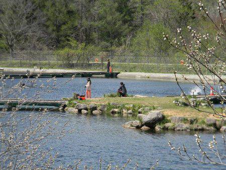 平谷湖フィッシングスポット 釣果