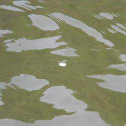 平谷湖フィッシングスポット 釣果