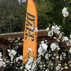 平谷湖フィッシングスポット 釣果