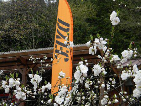 平谷湖フィッシングスポット 釣果