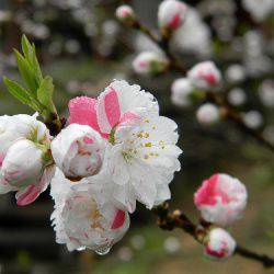 平谷湖フィッシングスポット 釣果