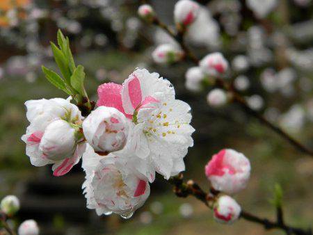 平谷湖フィッシングスポット 釣果
