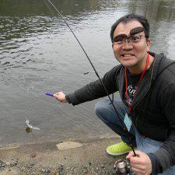 平谷湖フィッシングスポット 釣果