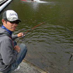平谷湖フィッシングスポット 釣果