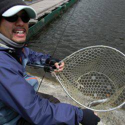 平谷湖フィッシングスポット 釣果