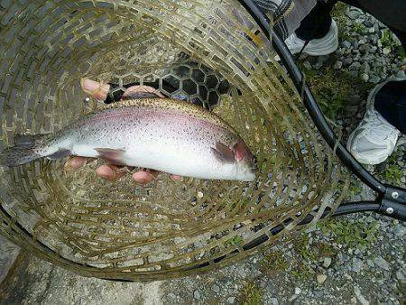 平谷湖フィッシングスポット 釣果