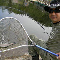 平谷湖フィッシングスポット 釣果