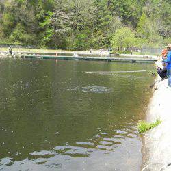 平谷湖フィッシングスポット 釣果