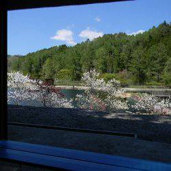 平谷湖フィッシングスポット 釣果