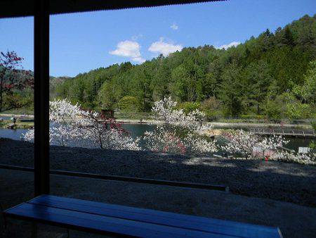 平谷湖フィッシングスポット 釣果