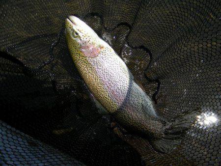 平谷湖フィッシングスポット 釣果