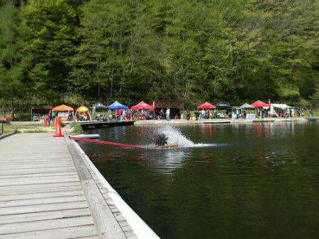 平谷湖フィッシングスポット 釣果