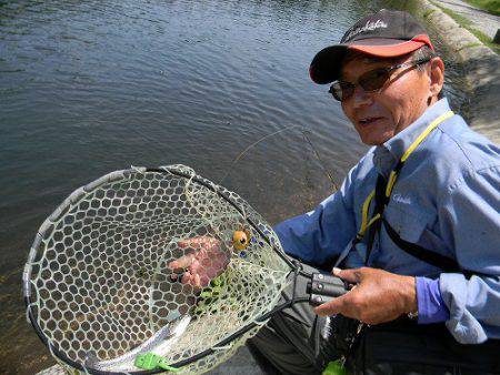 平谷湖フィッシングスポット 釣果