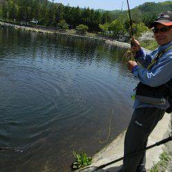 平谷湖フィッシングスポット 釣果