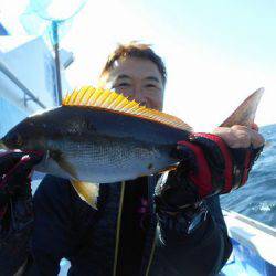 佐衛美丸 釣果