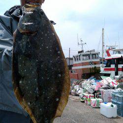 富士丸 釣果