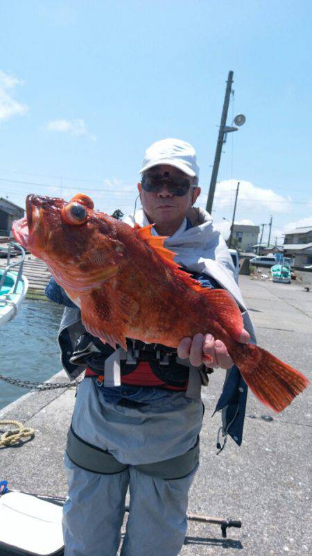 富士丸 釣果