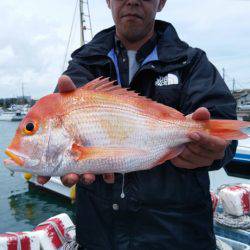 富士丸 釣果