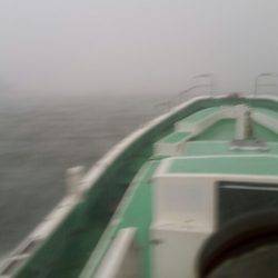 金沢八景鴨下丸 釣果