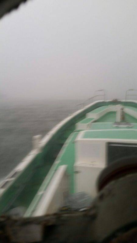 金沢八景鴨下丸 釣果