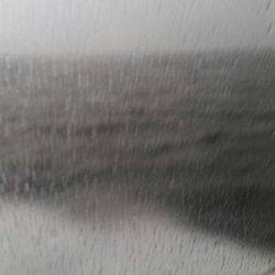 金沢八景鴨下丸 釣果